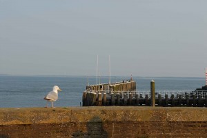 Pier in Vlissingen