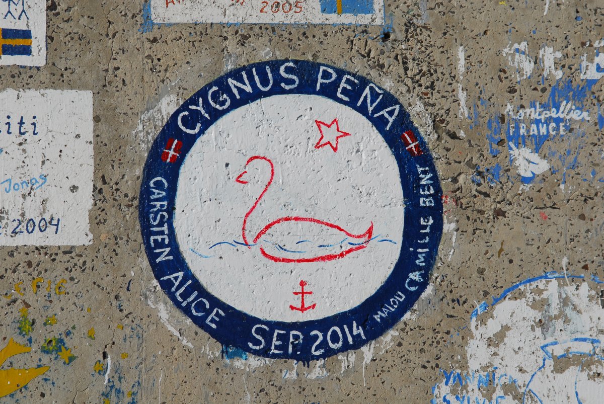 Cygnus Pena