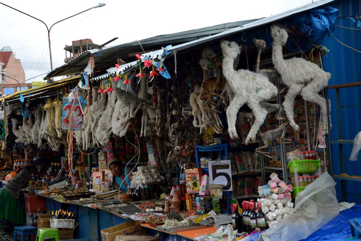 Hexenmarkt in El Alto, Bolvien; Witchmarket