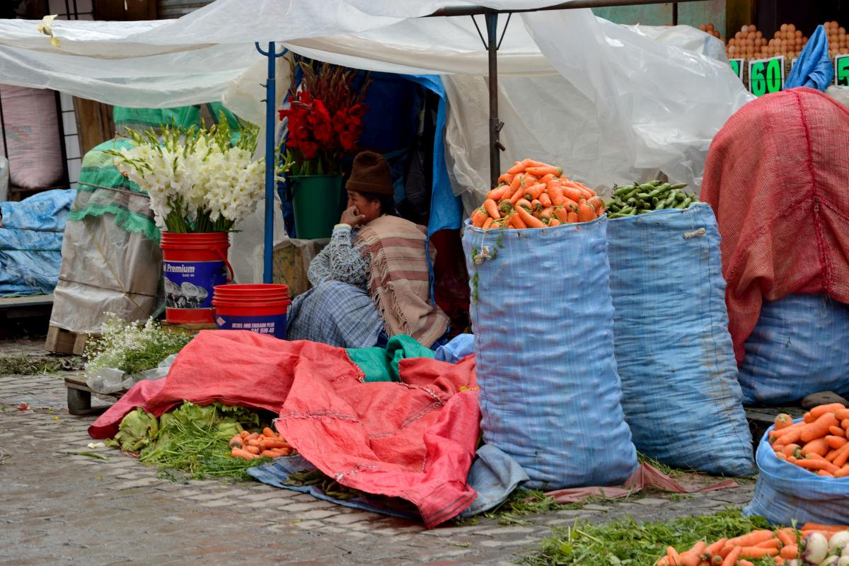 Marktfrau in El Alto