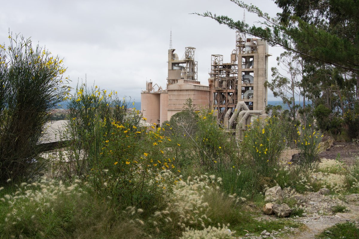 Parque Cretacico im Zementwerk