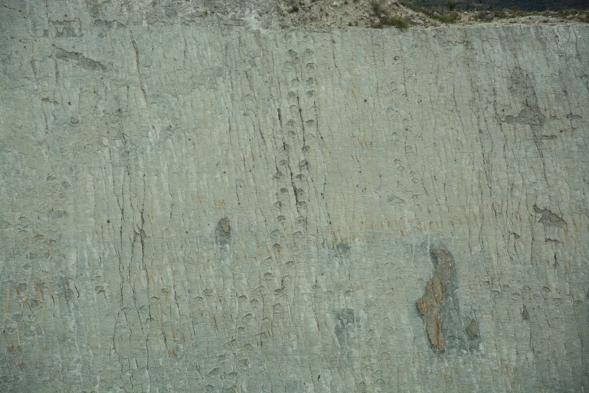 Parque Cretacico, Dinosaurier Spuren