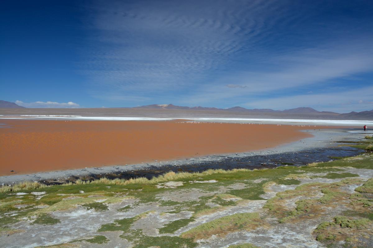 Laguna Colorada, Uyuni Tour von Tupiza aus