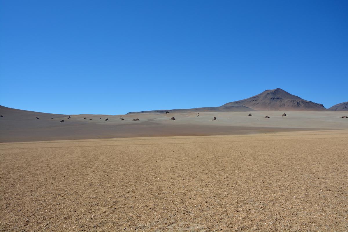 Solar de Uyuni Tour von Tupiza aus, 2. Tag: Dali Desert