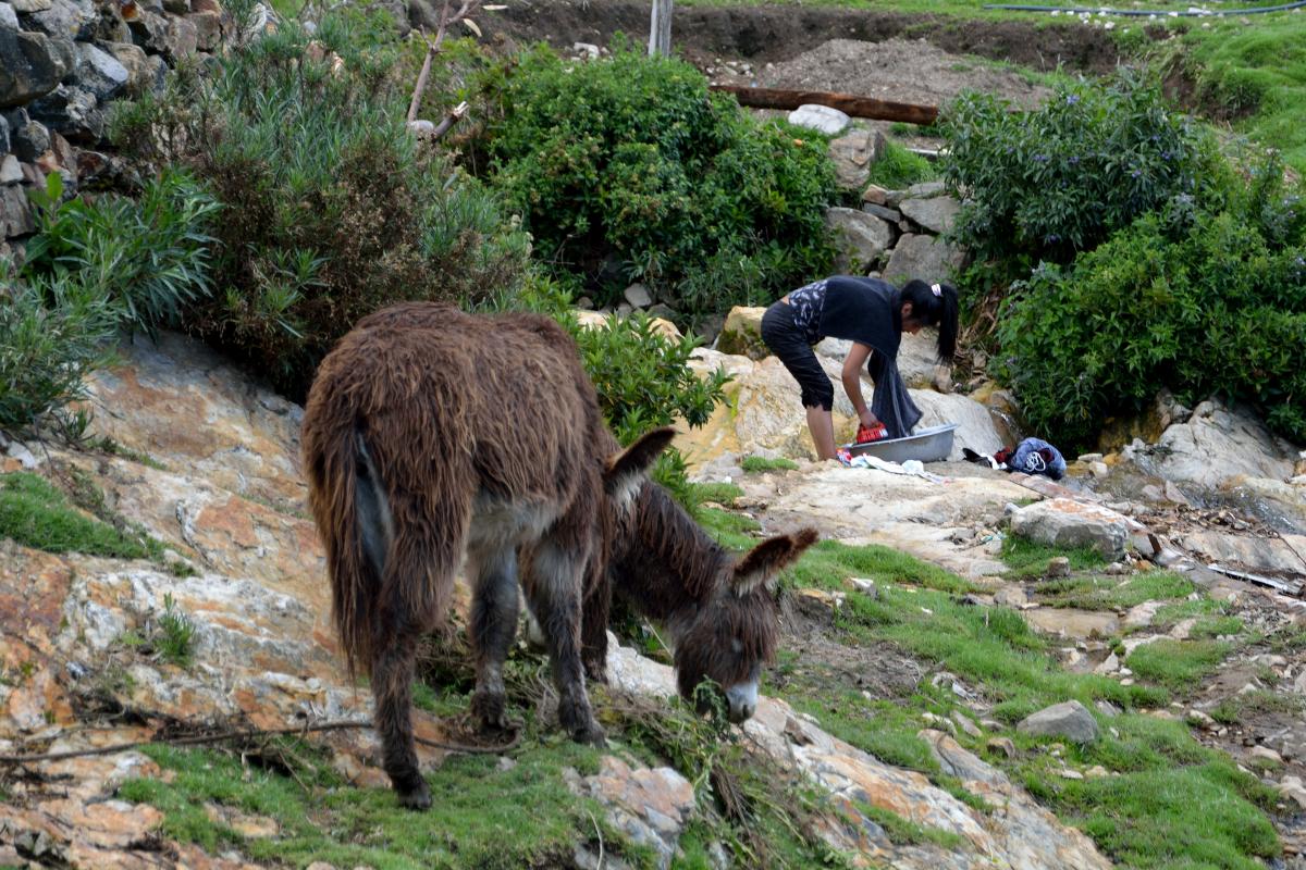 Isla del Sol, Titicacasee, Bolivien