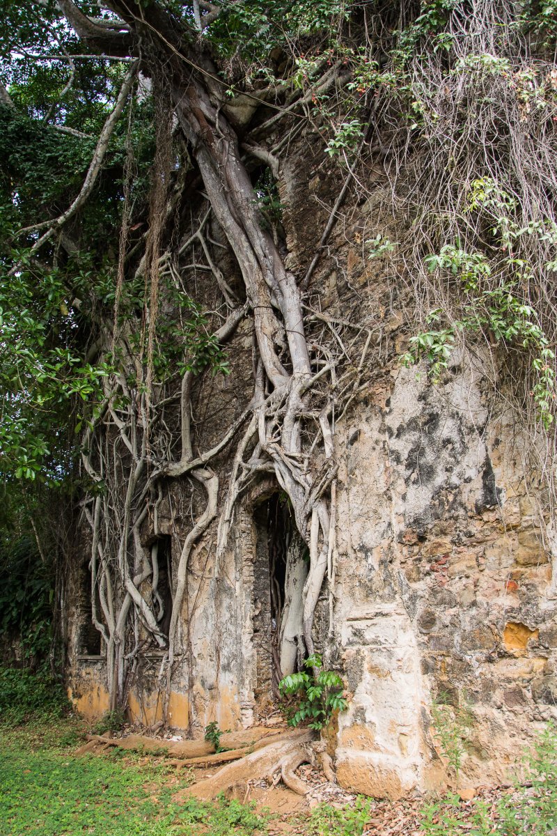 Kirchenruine auf Itaparica