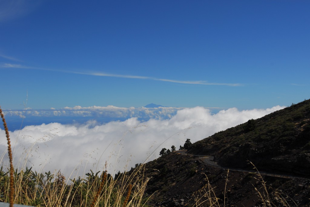 Teide