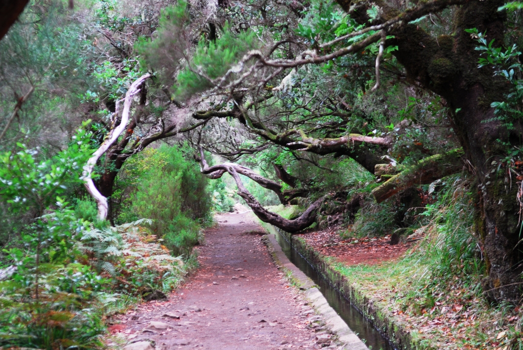 Rabacal, Madeira 