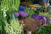 Im Garten der Lust ist was im Busch oder war es umgekehrt? Segeln
