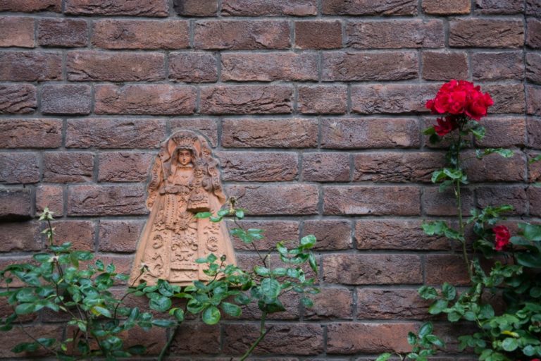 Im Garten der Lust ist was im Busch oder war es umgekehrt? Segeln
