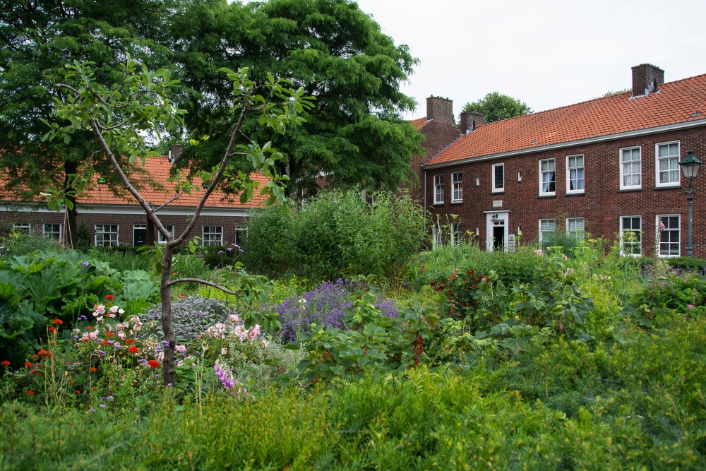 Hertogenbosch | Segeln mit Yemanja