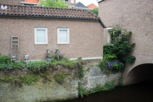 Im Garten der Lust ist was im Busch - oder war es umgekehrt? - Segeln
