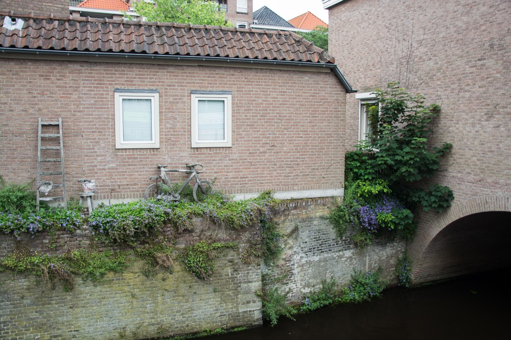 Hertogenbosch | Segeln mit Yemanja