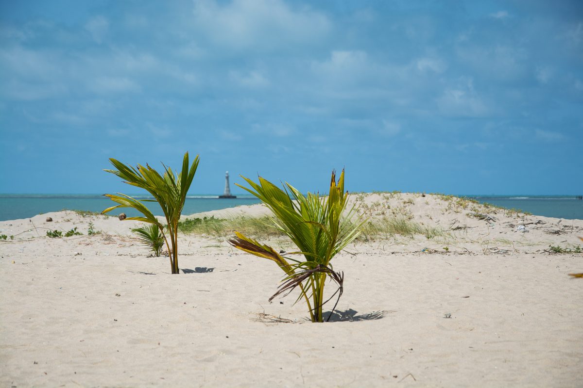 Strand in Cabedelo