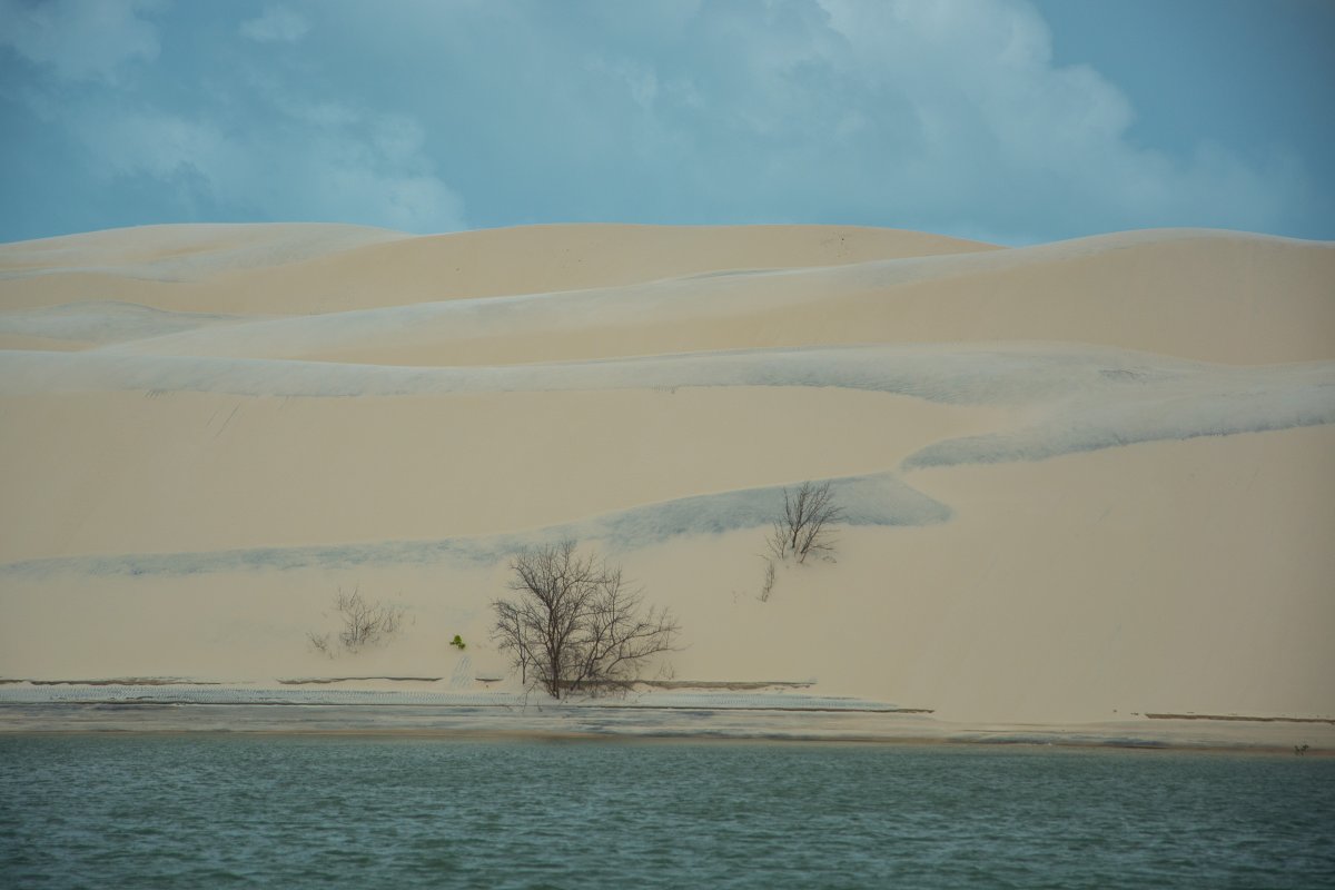 Die Wanderdüne