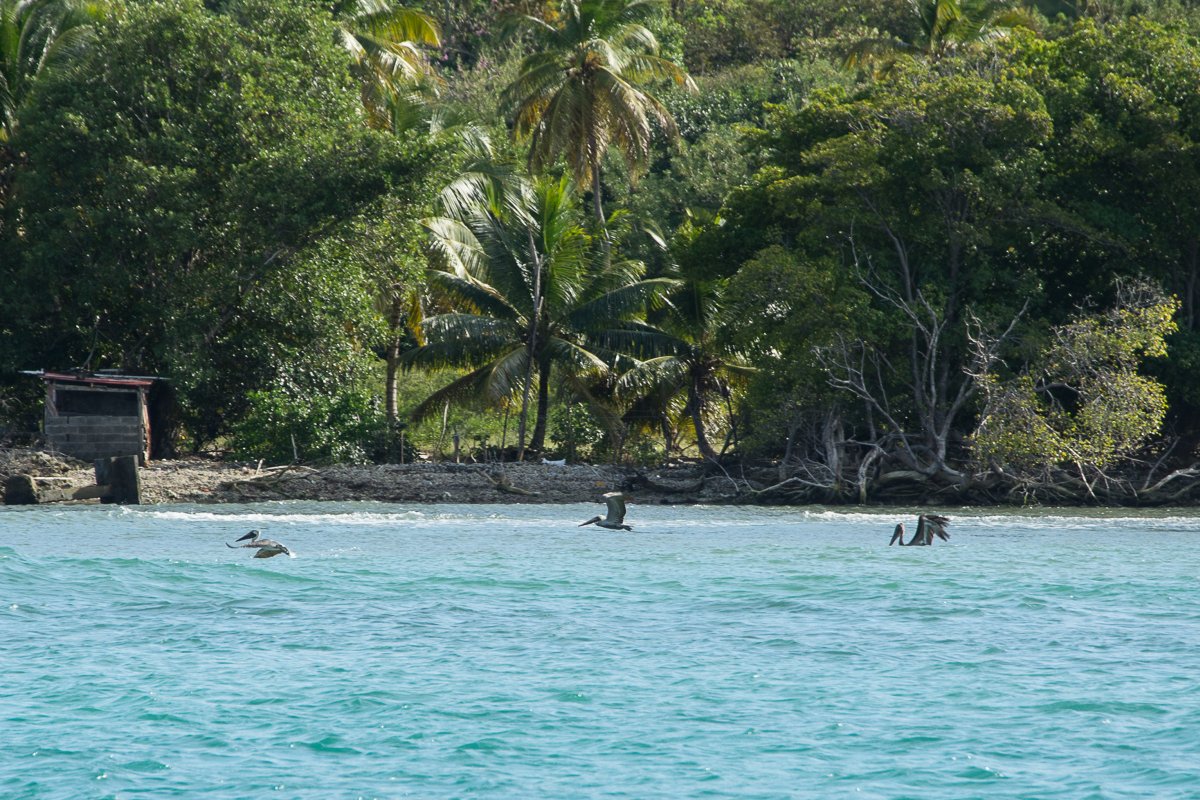 Carriacou - Segeln mit Yemanja