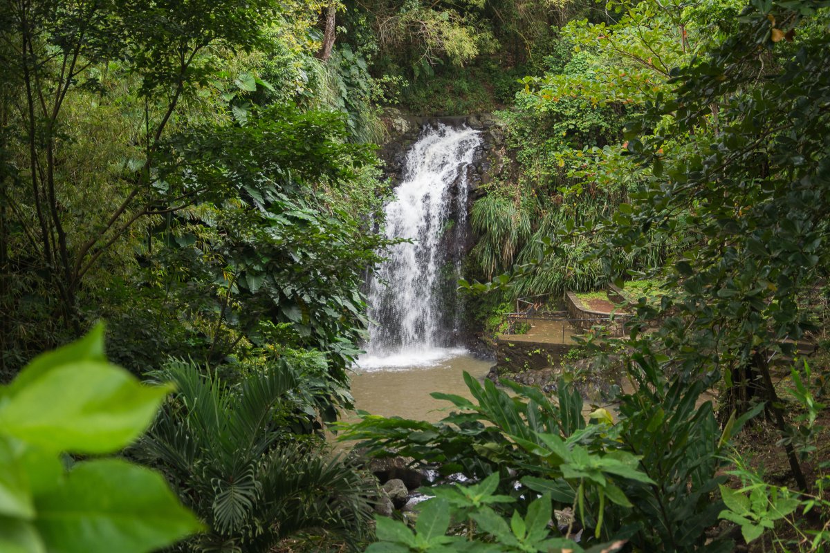 Annandale Waterfall Grenada