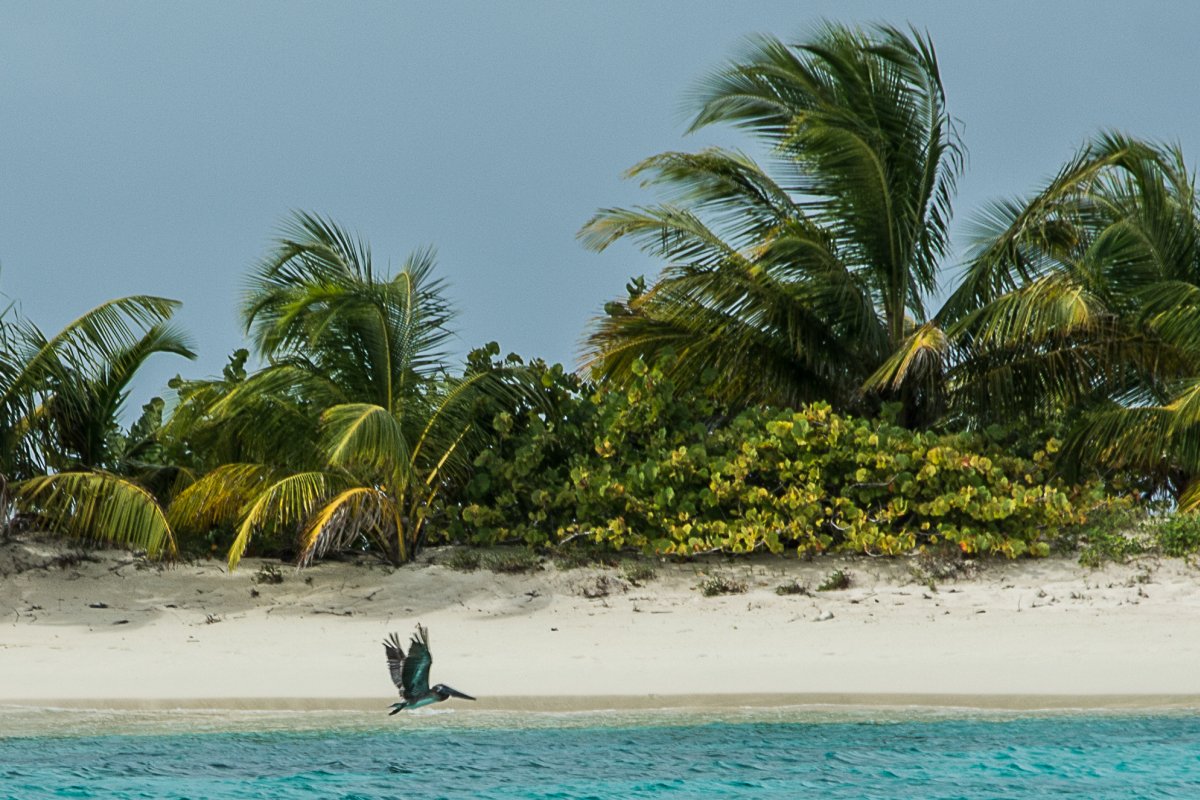 Carriacou