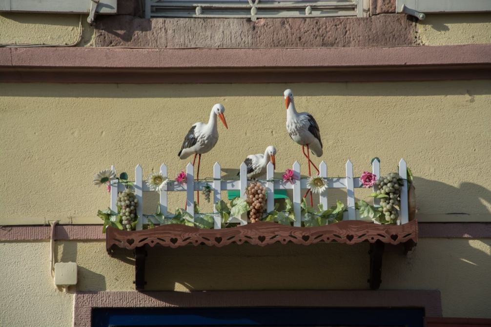 13 + 1 Dinge, die du nicht über das Elsass weißt -Colmar - Segeln mit Yemanja