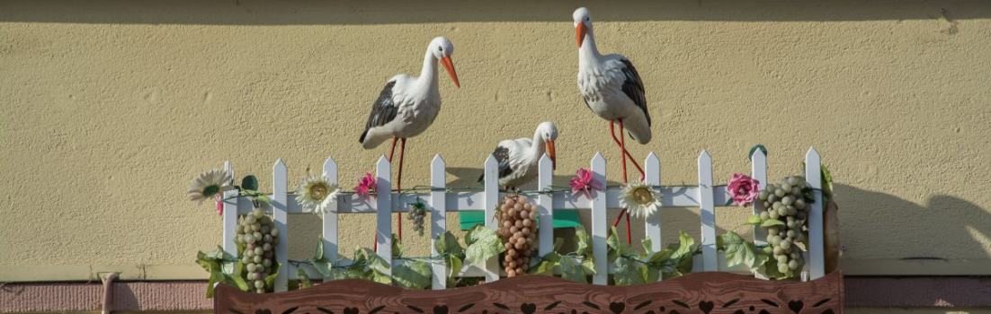 13 + 1 Dinge, die du nicht über das Elsass weißt -Colmar - Segeln mit Yemanja