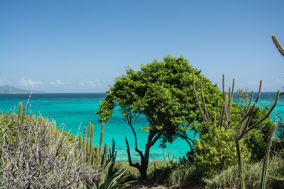 Tobago Cays - Segeln mit Yemanja