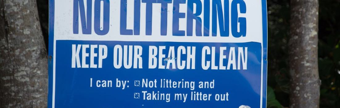 Was du für die Sauberkeit des Meeres auch an Land tun kannst
