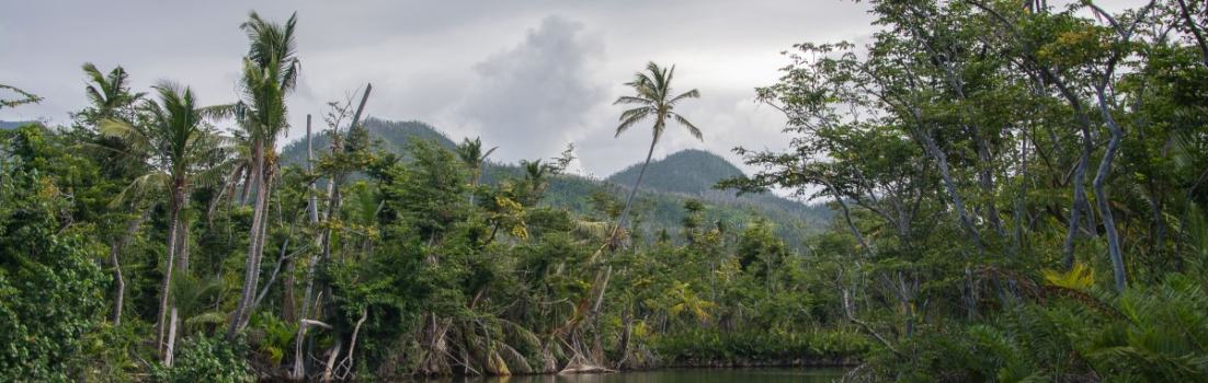 indian River, Dominica