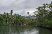 indian River, Dominica