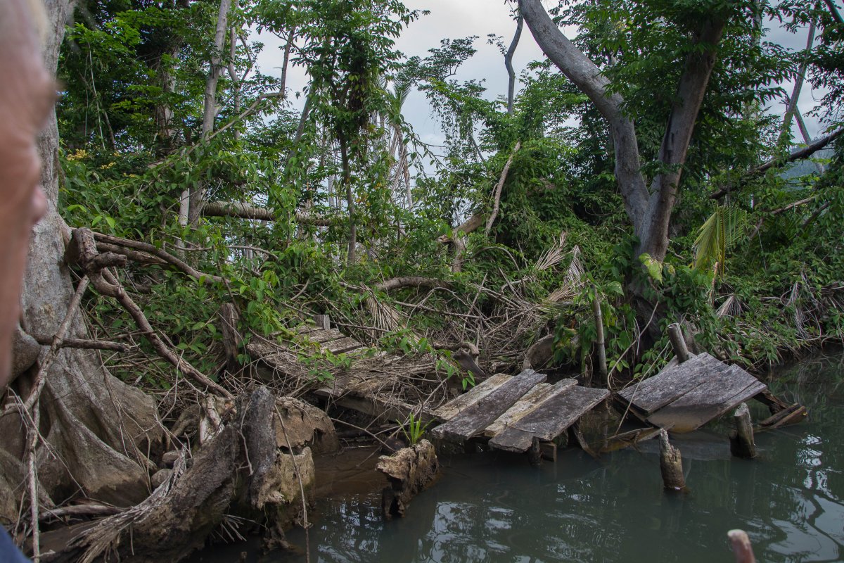 Indian River, Dominica