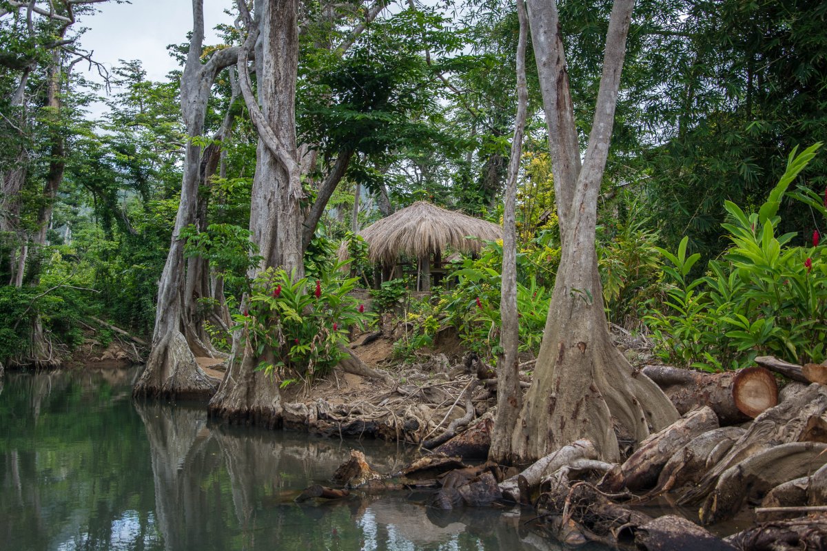 Indian River, Dominica