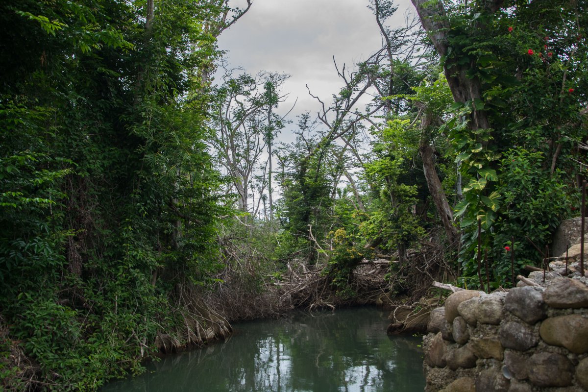 Indian River, Dominica