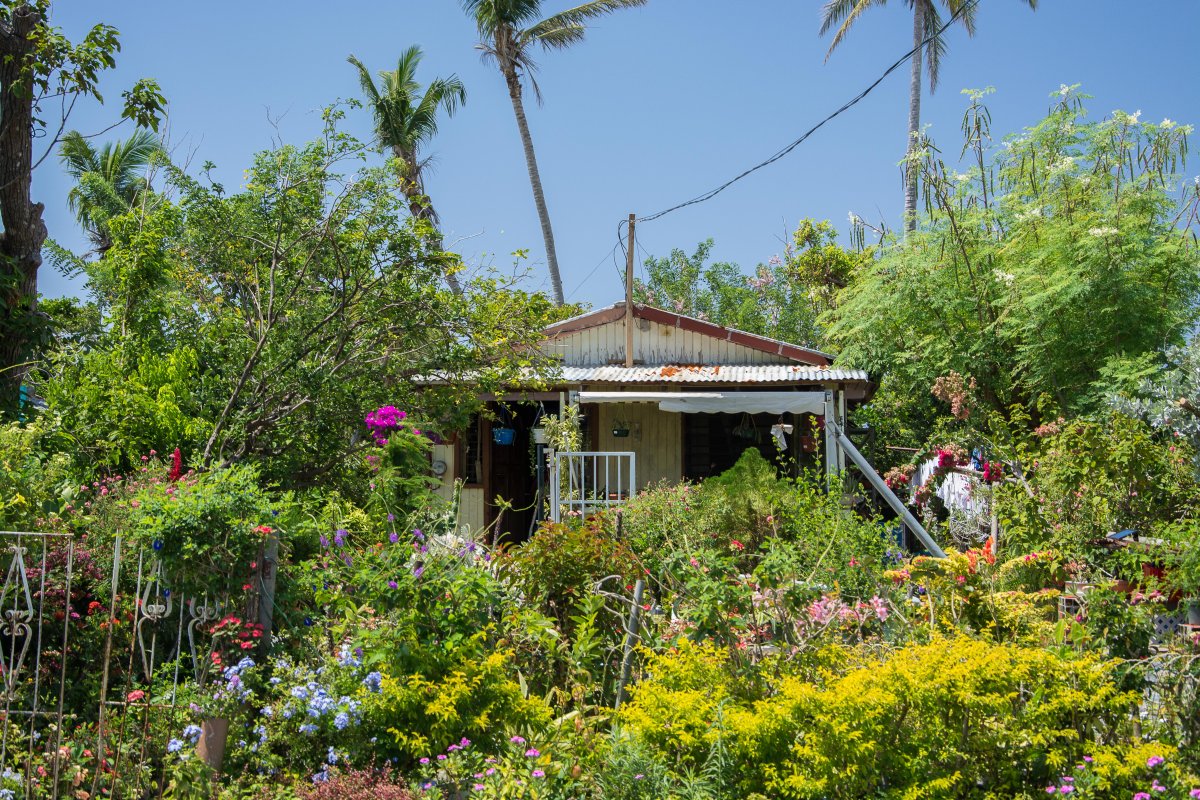 Portsmouth, Dominica