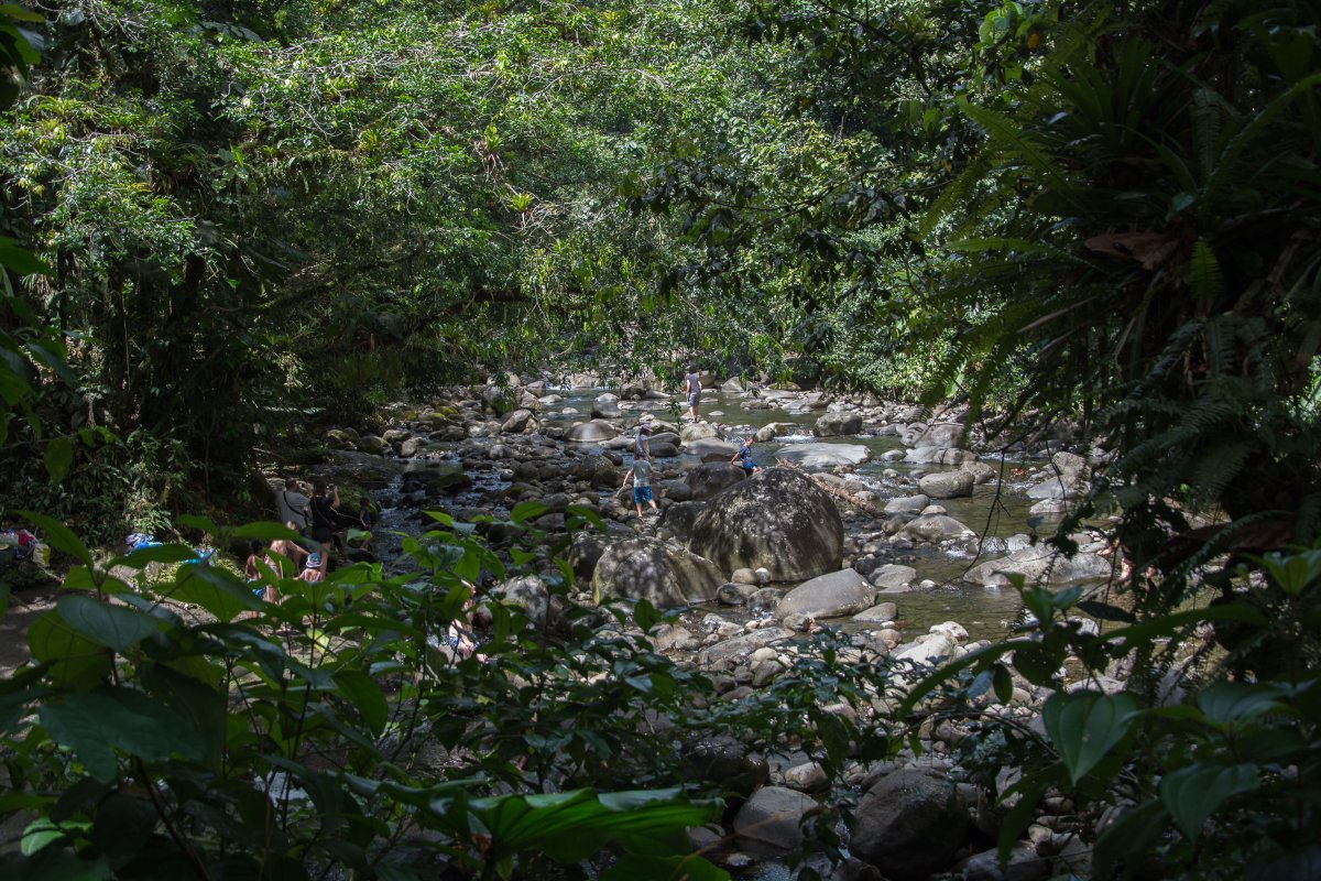 Chute Ecrevisses, Guadeloupe