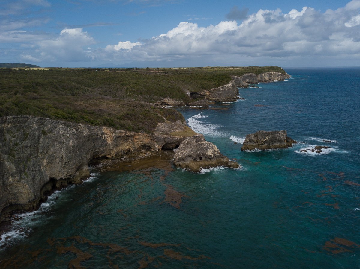 Caye Plate, Marie Galante