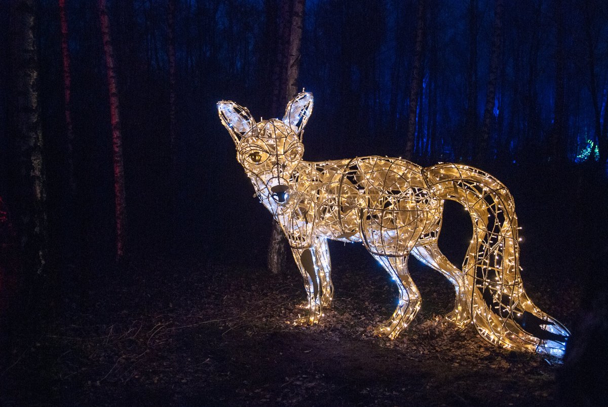 Haldenzauber, Monatsglück Dezember 2018 www.sy-yemanja.de