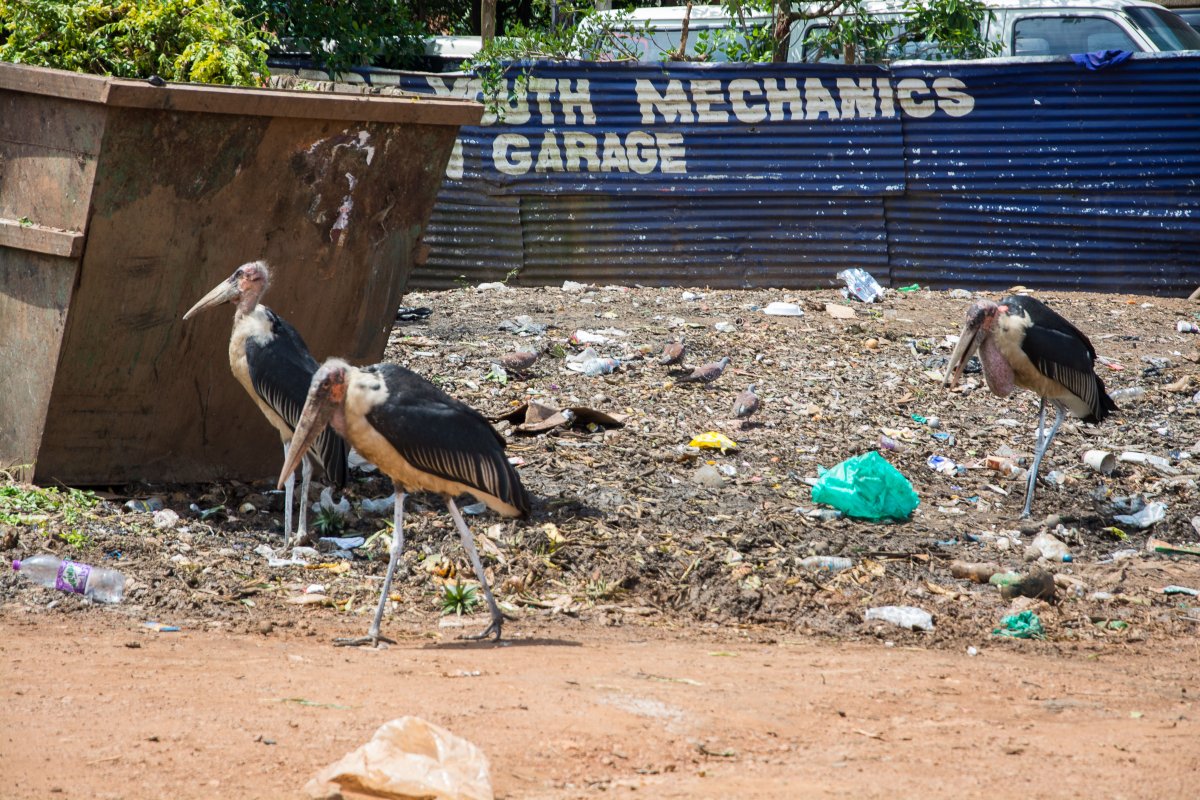 Am Markt in Entebbe, www.sy-yemanja.de