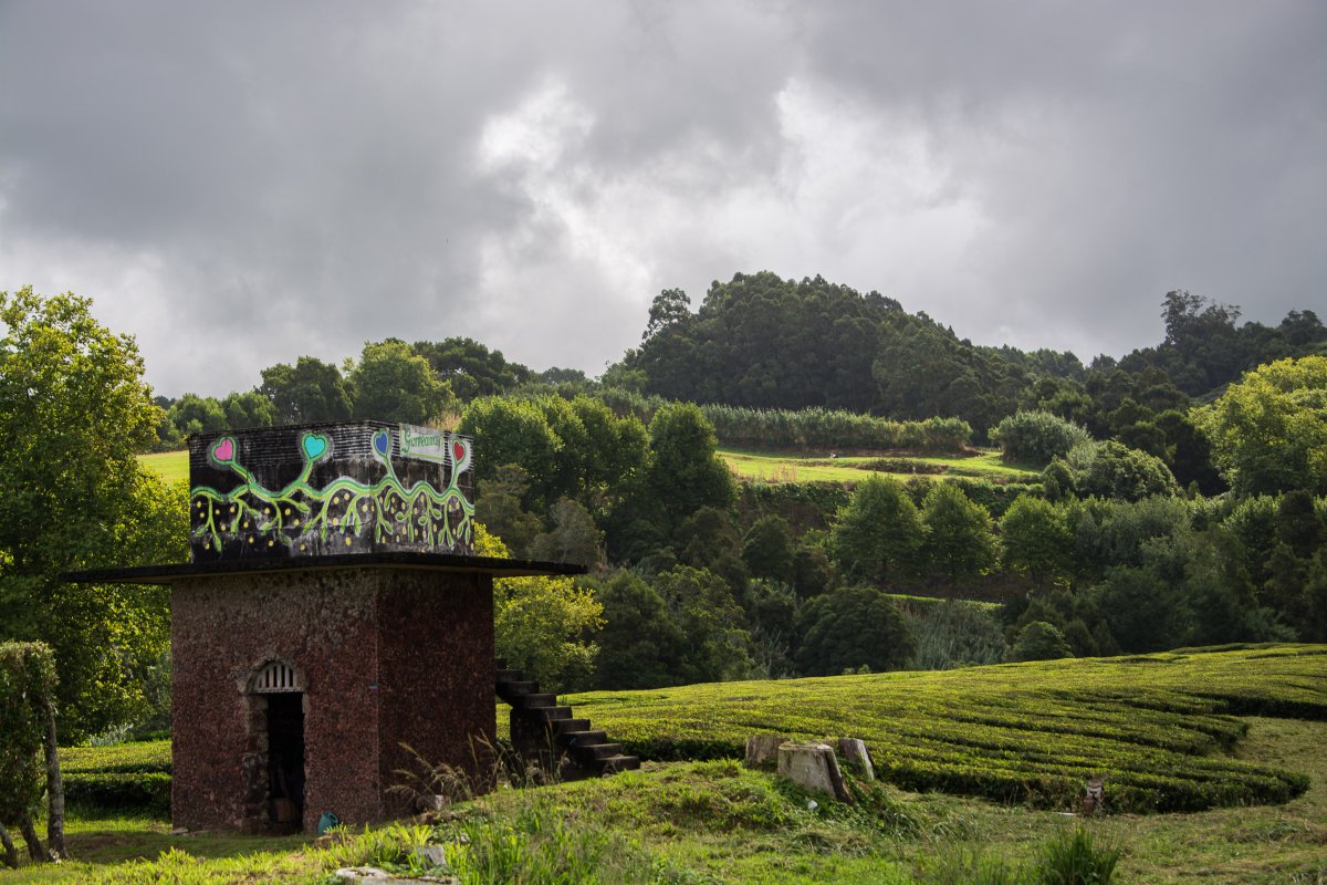 Yves Decoster, Sao Miguel Herz - www.sy-yemanja.de