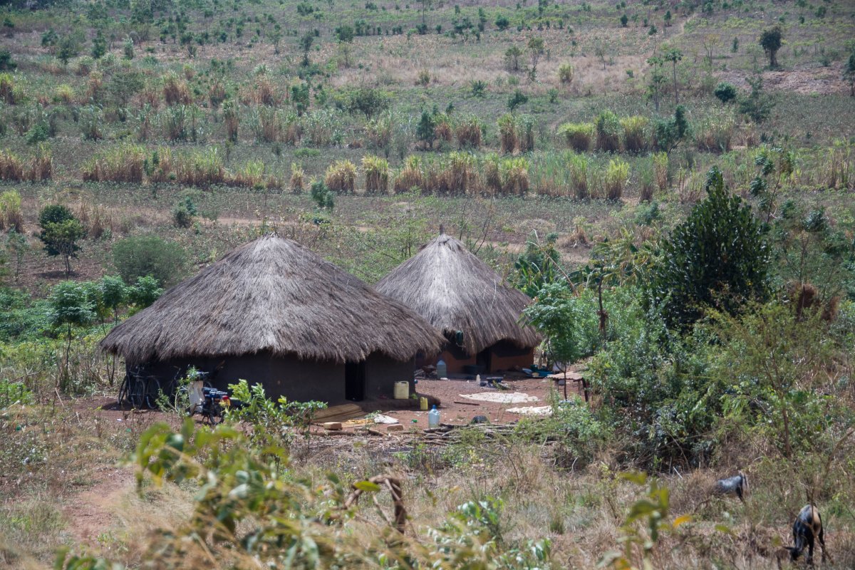 On the Road, Uganda, www.sy-yemanja.de