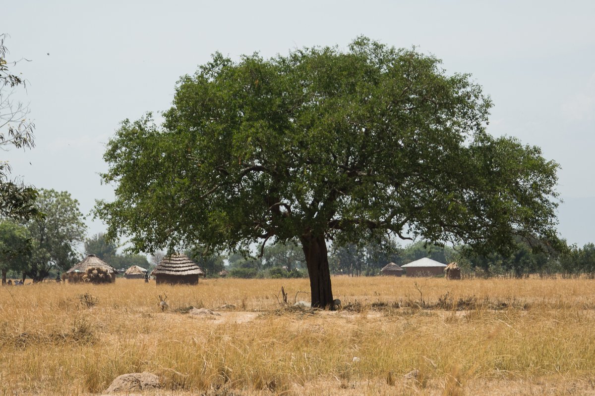 On the Road, Uganda, www.sy-yemanja.de