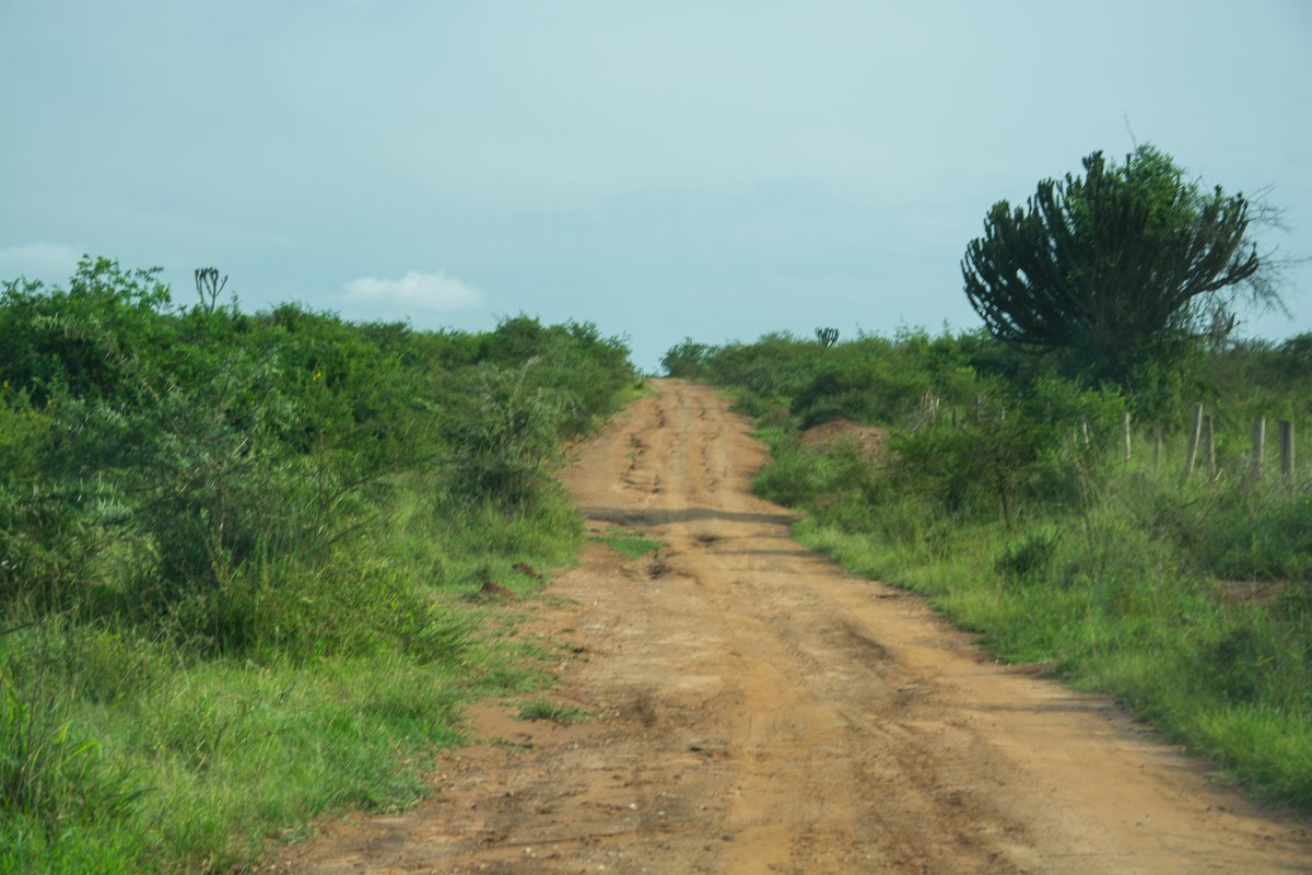 Lake Mburo National Park, Uganda, www.sy-yemanja.de