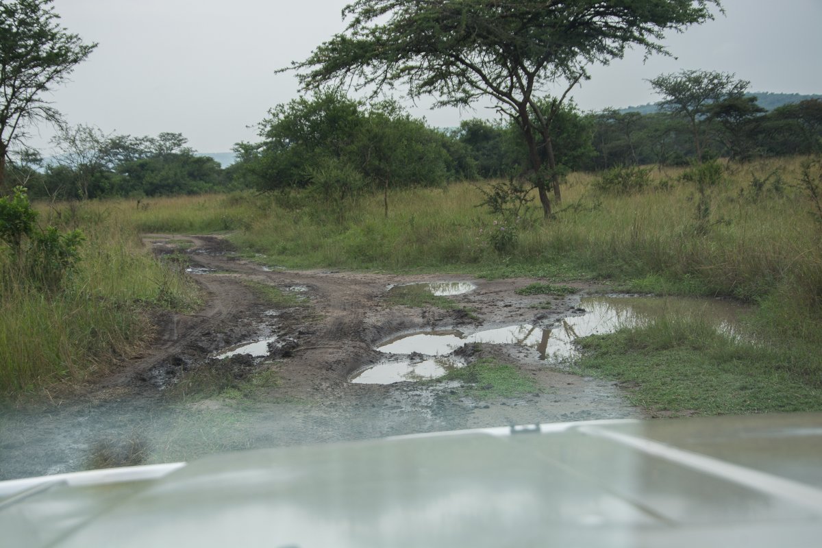 Lake Mburo, Uganda, www.sy-yemanja.de