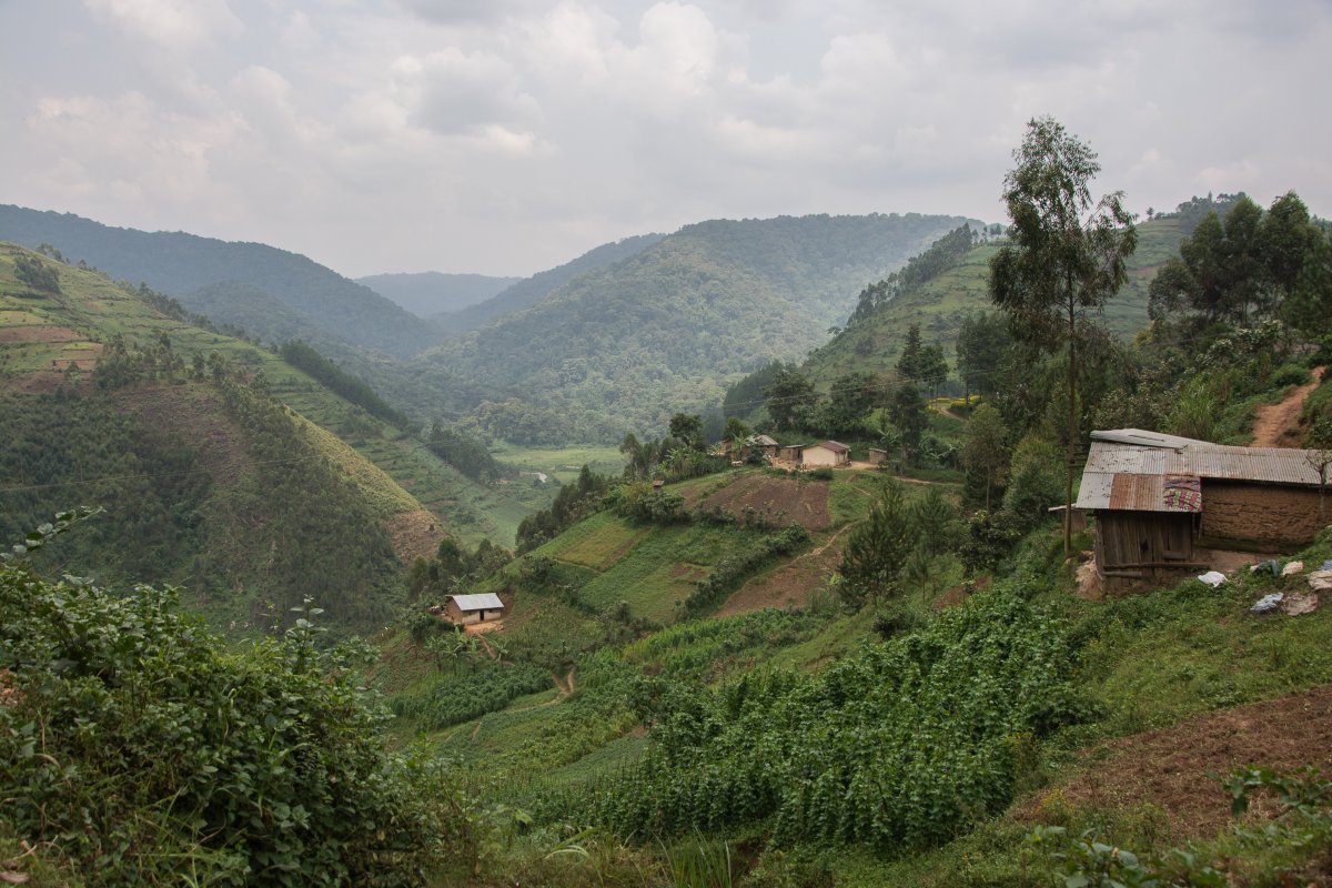 Bei Rushaga, Uganda, www.sy-yemanja.de