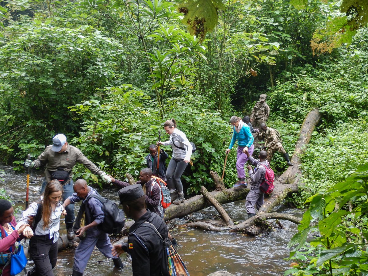 Bwindi Impenetrable Forest, Uganda, www.sy-yemanja.de