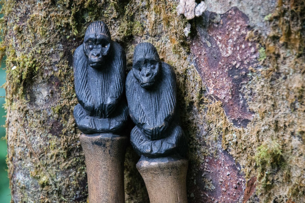 Bwindi Impenetrable Forest, Uganda, www.sy-yemanja.de