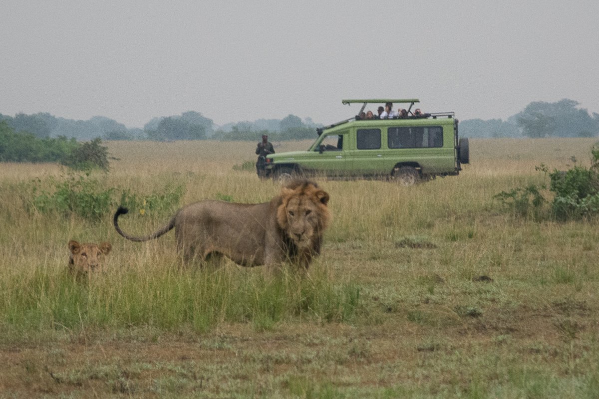 Queen Elizabeth Nationalpark, Uganda, www.sy-yemanja.de