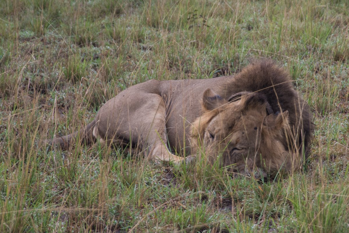 Queen Elizabeth Nationalpark, Uganda, www.sy-yemanja.de