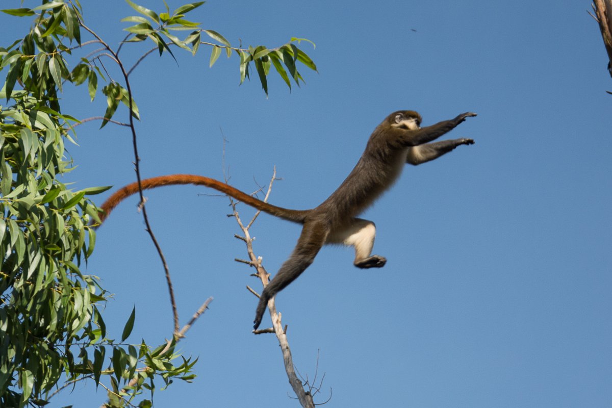 Jinja, Uganda, www.sy-yemanja.de