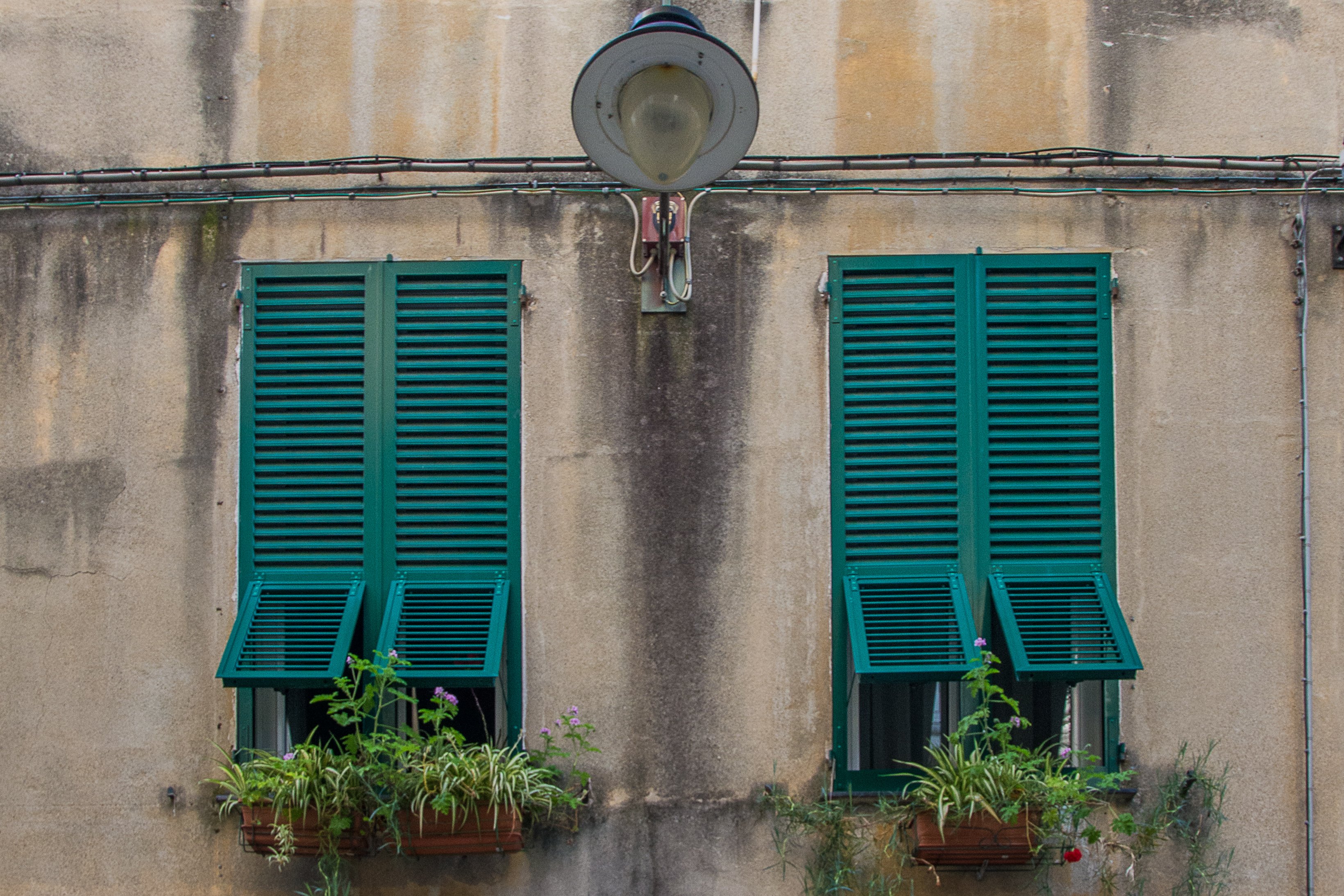 Genova Walking Tour with Spyros