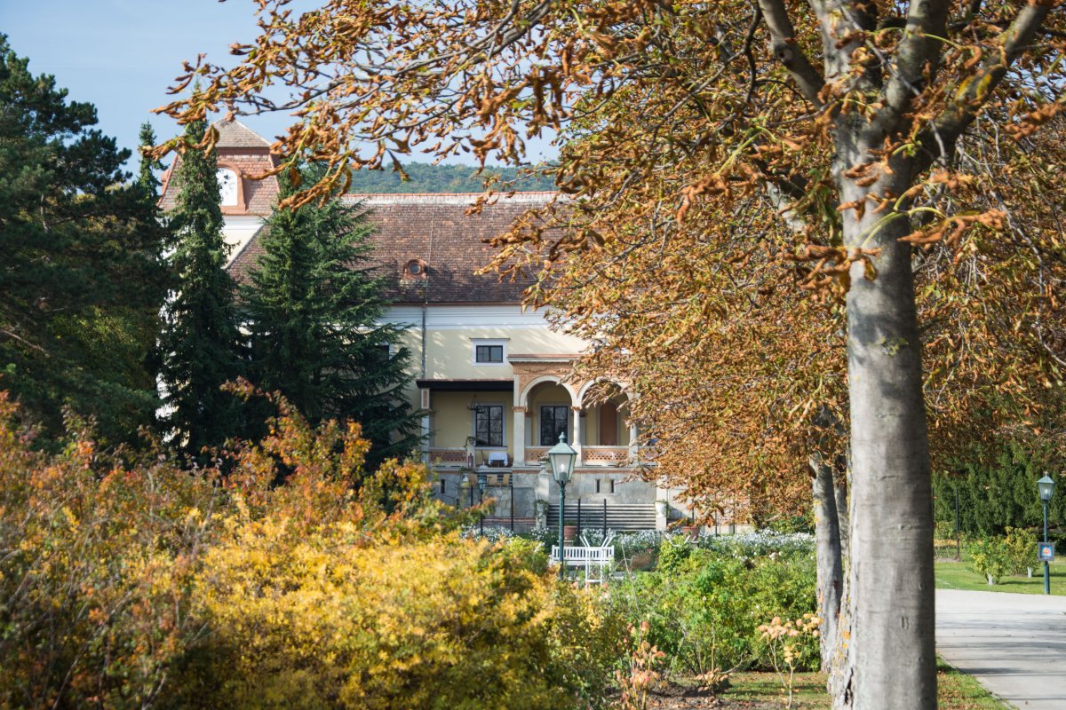 Quellen in Baden bei Wein - Heimat entdecken mit www.sy-yemanja.de