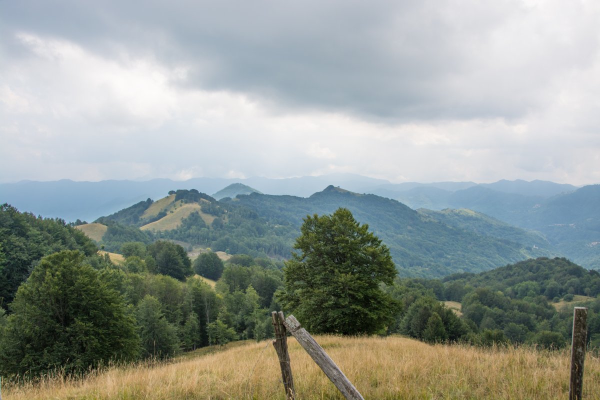 Monte Antola